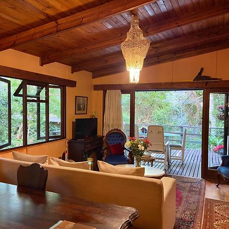 Nature'S Valley Health Retreat A Hide Away In The Forest Exteriér fotografie