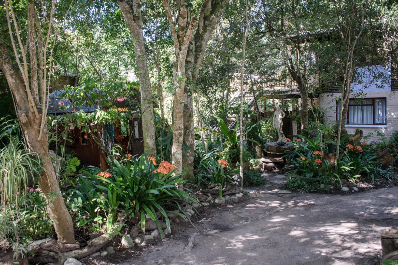 Nature'S Valley Health Retreat A Hide Away In The Forest Exteriér fotografie