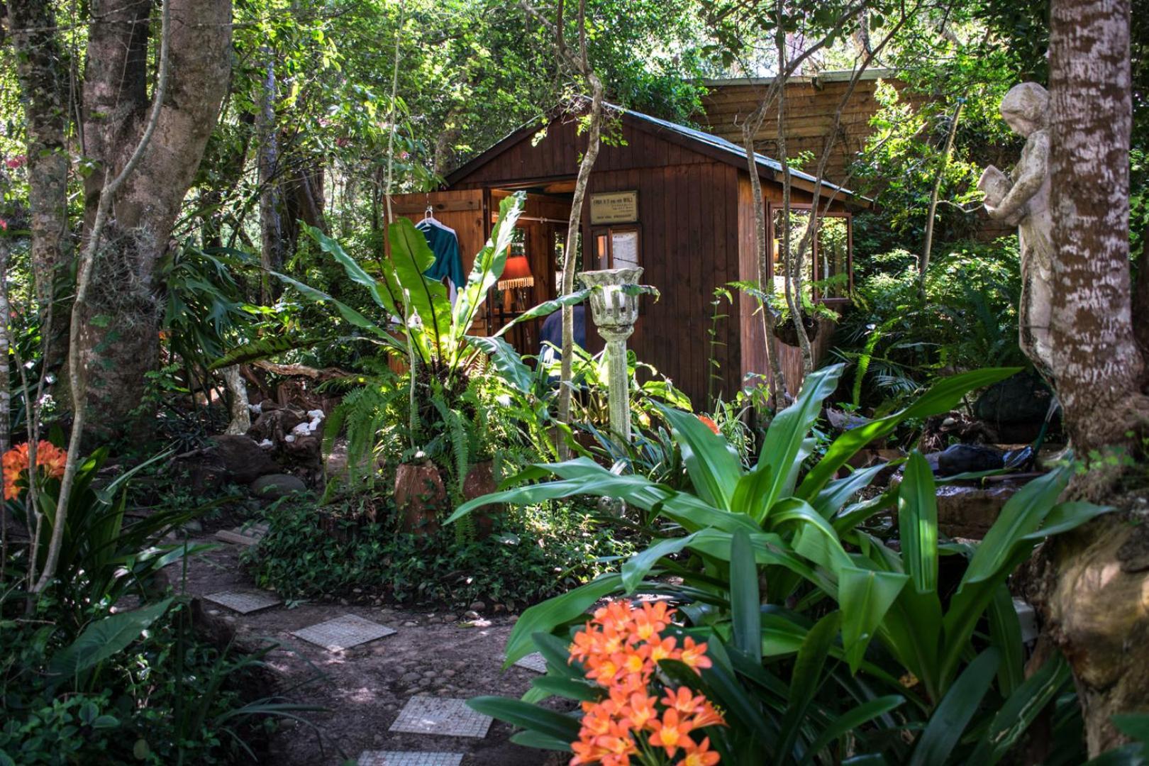 Nature'S Valley Health Retreat A Hide Away In The Forest Exteriér fotografie