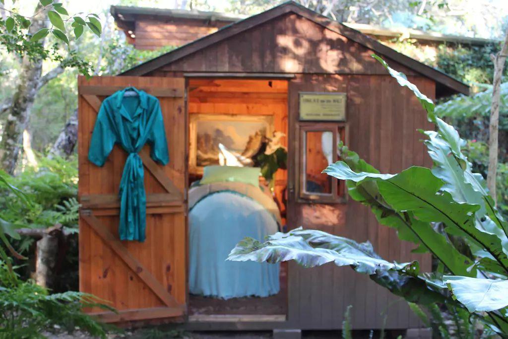 Nature'S Valley Health Retreat A Hide Away In The Forest Exteriér fotografie