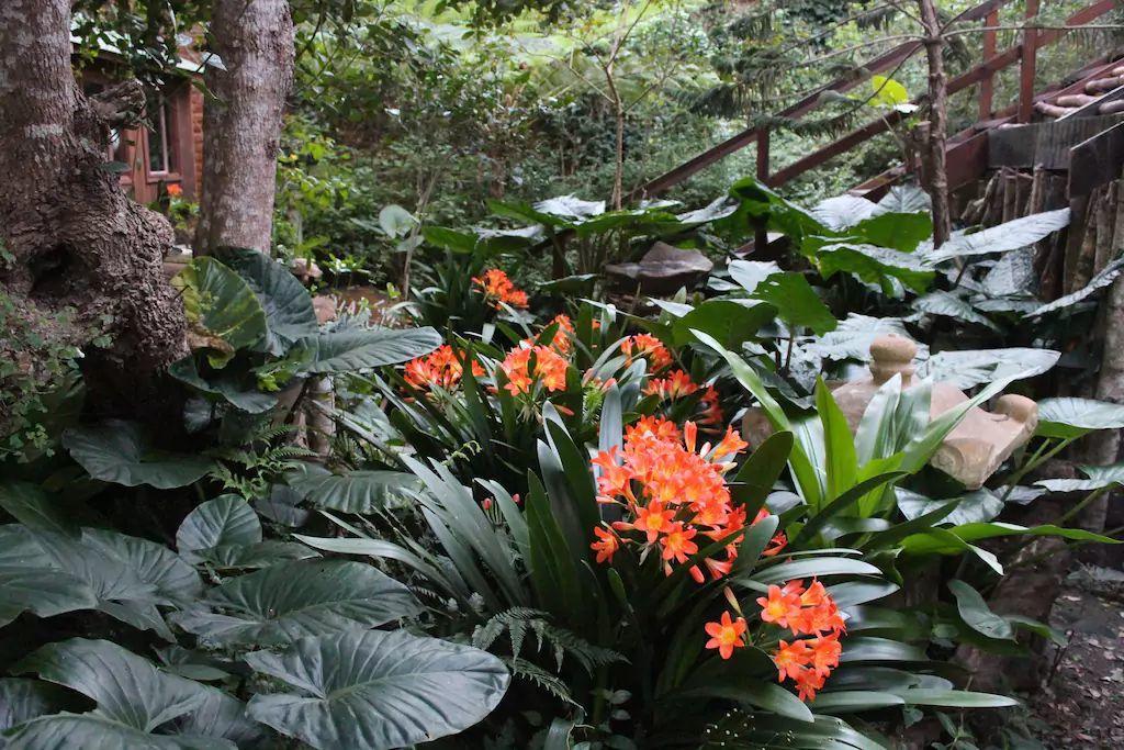 Nature'S Valley Health Retreat A Hide Away In The Forest Exteriér fotografie